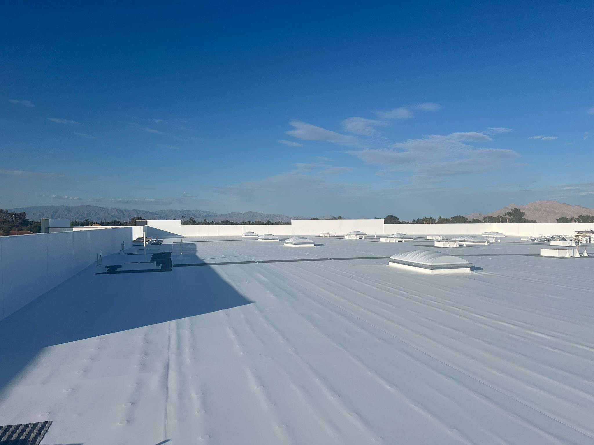 Roof 3